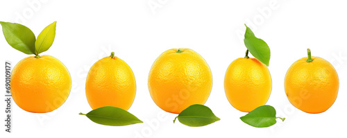 Collection Natural Fresh Orange Fruit On Transparent Background 5