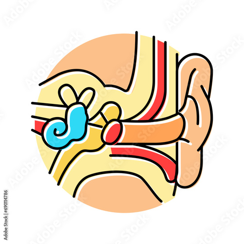 ear anatomy audiologist doctor color icon vector. ear anatomy audiologist doctor sign. isolated symbol illustration