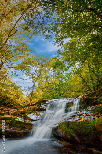 Fototapeta Naklejka Na Ścianę i Meble -  waterfall in autumn