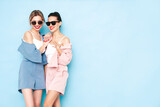 Two young beautiful smiling brunette hipster female in trendy summer clothes. Sexy carefree women posing near blue wall in studio. Positive models having fun. Cheerful and happy. In sunglasses