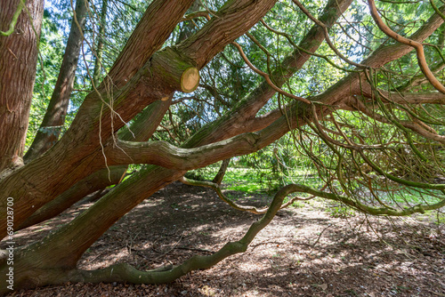 External view at St Peter & St Paul's Abington Church in Northampton, England, UK
