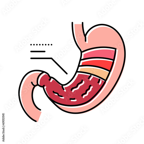stomach anatomy gastroenterologist color icon vector. stomach anatomy gastroenterologist sign. isolated symbol illustration