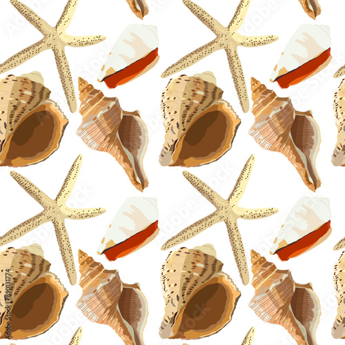 Seashell pattern. Vector illustration. Marine theme. Ocean dwellers.