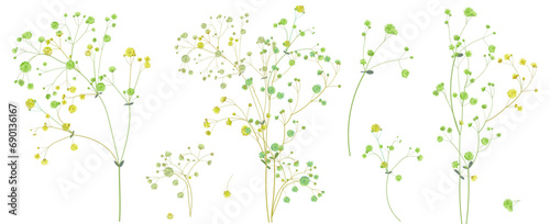 Twigs of gypsophile. White, green tiny little flowers, buds, small leaves. Pale, delicate branches for bouquets. Panoramic view, botanical illustration in watercolor style, horizontal pattern, vector