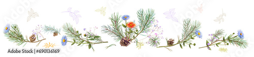 Horizontal panoramic border with pine branches, cones, needles, blue daisy flowers on white background. Realistic digital Christmas tree in watercolor style. Botanical illustration for design, vector