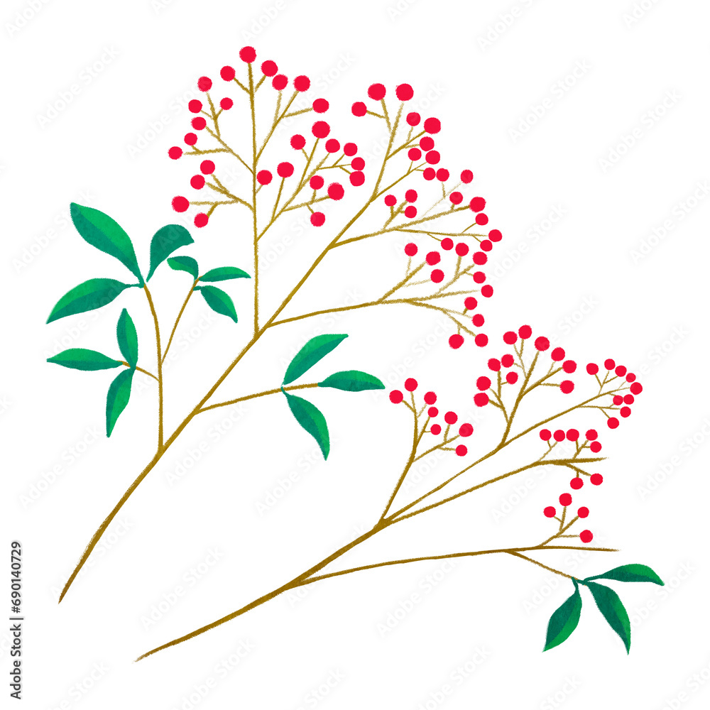 Obraz premium 赤い実のついた南天の枝のイラスト