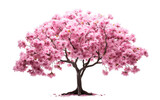 Small Pink Blossom On Transparent PNG