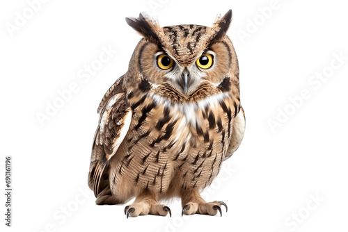 Owl Isolated on Transparent Background. Ai