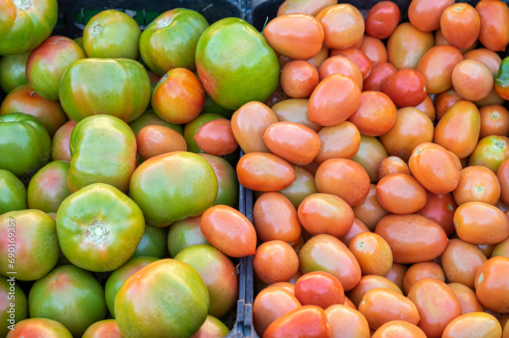 Tomatoes of two kinds or variations grown in local gardens and for sale at a street market Tomatoes of two kinds or variations grown in local gardens and for sale at a street market