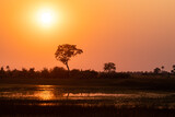 Wide angle shot of a beautiul sunset in the Okavango delta.
