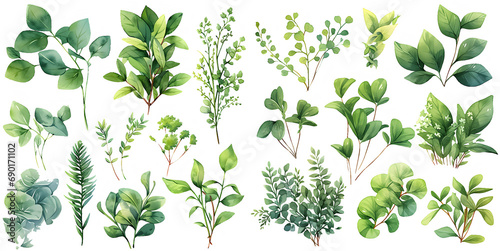  Green plant watercolor illustration clipart. Generative AI photo