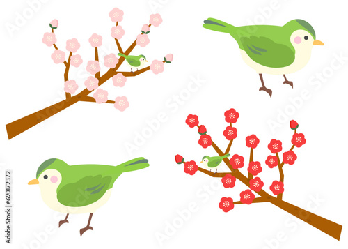 鶯と梅の木　イラスト