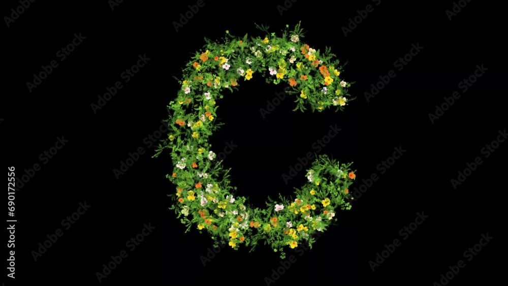 English alphabet C with grass and colorful flowers on plain black background English alphabet C with grass and colorful flowers on plain black background