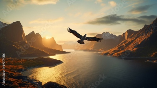  Sea bird flying over the silhouetted mountains with the golden light of sunrise shining on the Western Fjords of Kalaallit Nunaat; West Greenland, Greenland