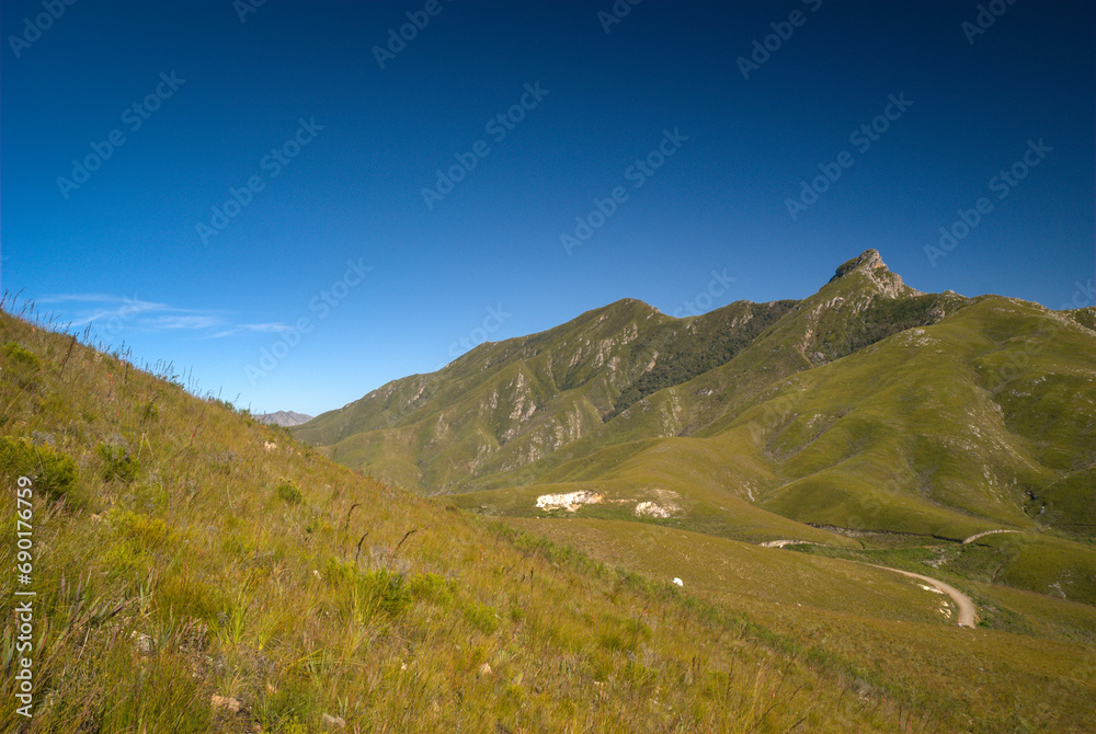 landscape of the Outeniqua mountains in the cape floral, fynbos biome in South Africa