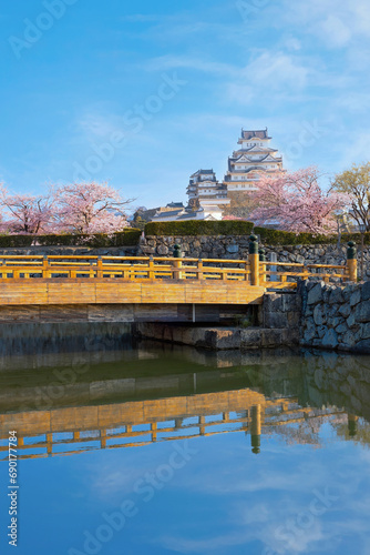 Himeji Castle in Hyogo, Japan with full bloom Cherry Blossom in spring