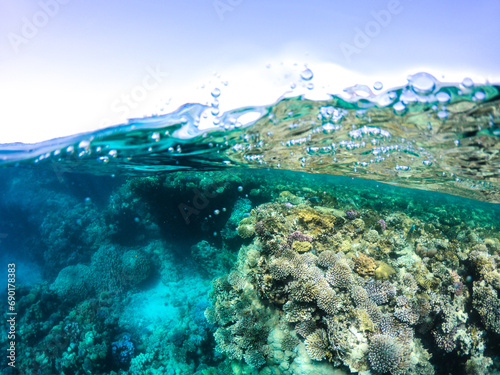 snorkeling at a coral reef in marsa alam egypt photo