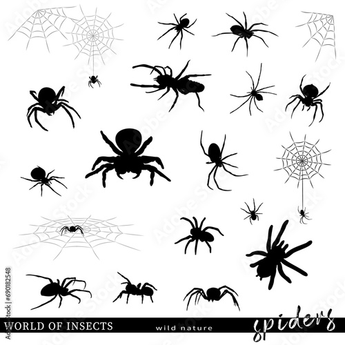 Silhouettes of spiders and spiderweb. Vector illustration. © Евгений Горячев