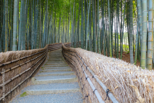 Fototapeta Naklejka Na Ścianę i Meble -  A Bamboo Grove at Adashino Nenbutsuji Temple in Kyoto, Japan