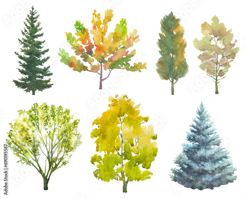 Set of hand drawn trees with summer and autumn colors  on white background