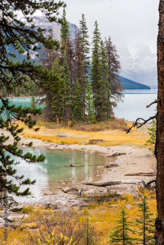 Fir trees island on the lake waterfront in autumn foliage season. snowy foggy mountains in the background.