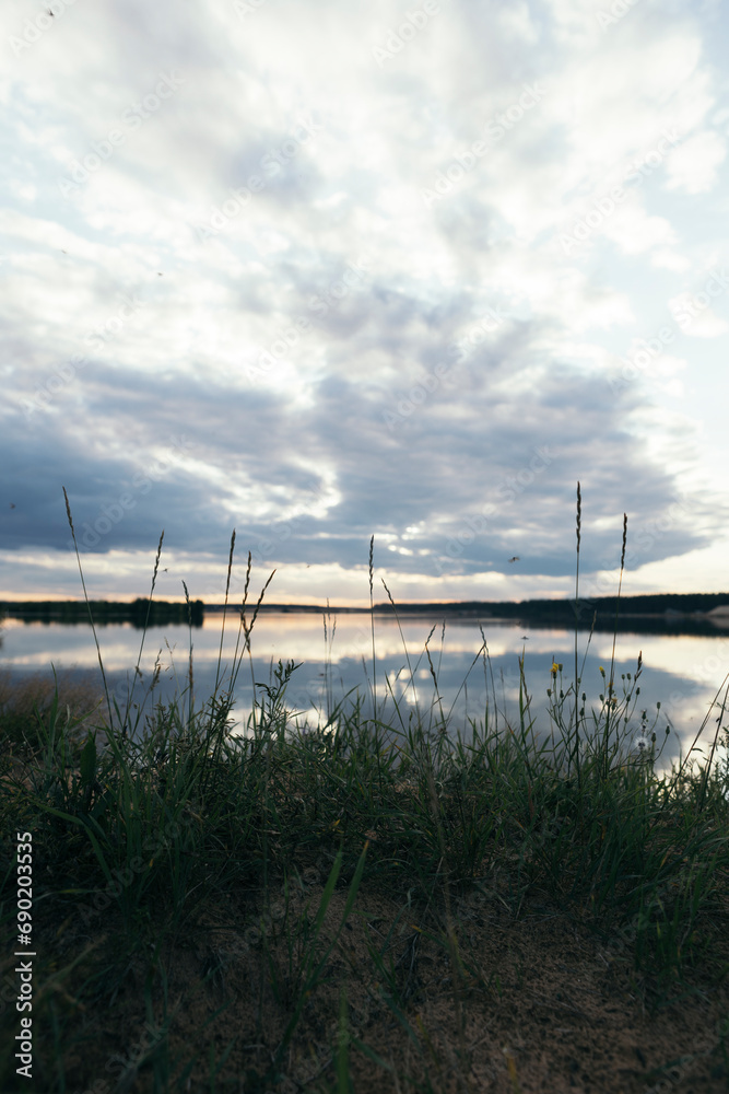green grass against the background of water and sunset sky