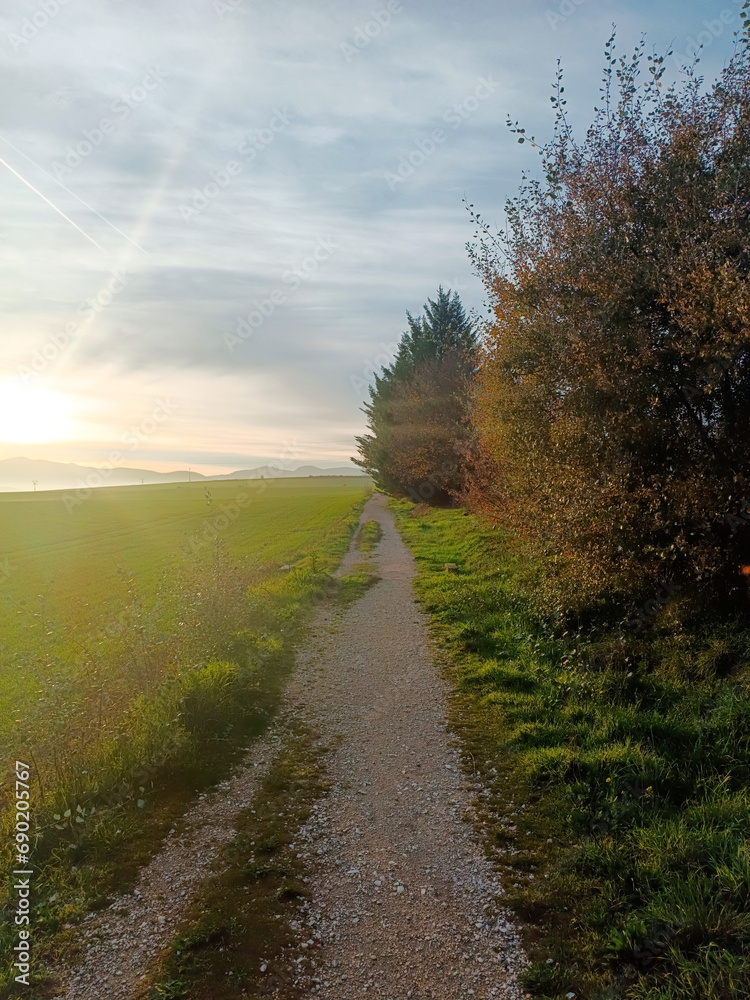 road in the morning