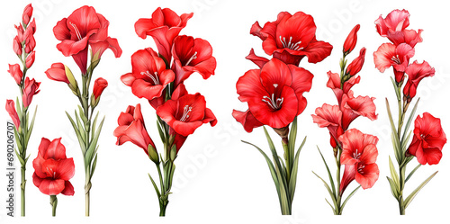 Papier peint Gladiolus flower watercolor illustration clipart. Generative AI
