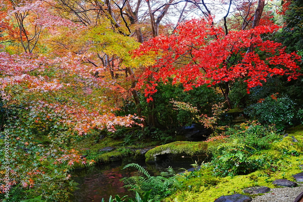 Red and Yellow Autumn Leaves at Komyo-ji Temple, Rurikoin in Kyoto, Japan - 日本 京都 光明寺 京都本院 瑠璃光院 秋の紅葉