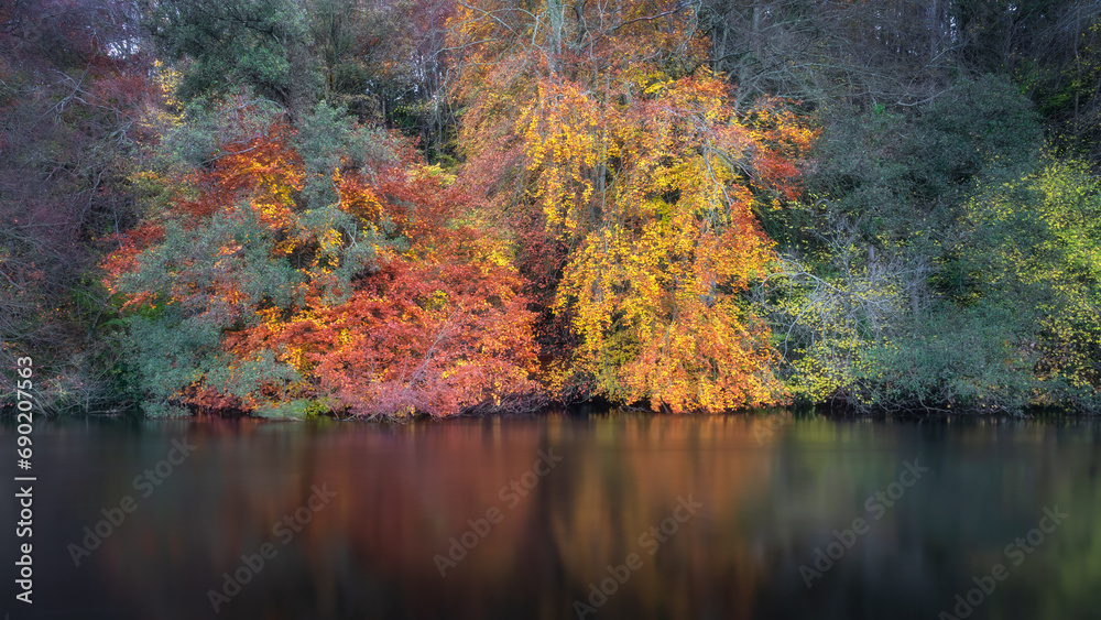 Beautiful trees and forest in vibrant autumn colours reflected in blurred waters of Liffey River. St. Catherines Park, Dublin, Ireland Beautiful trees and forest in vibrant autumn colours reflected in blurred waters of Liffey River. St. Catherines Park, Dublin, Ireland