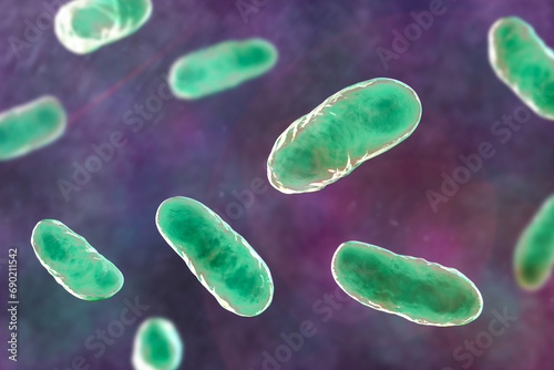 Haemophilus influenzae bacteria, 3D illustration photo