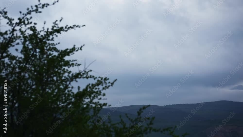 Trees on a rainy day against the background of mountains and cloudy sky. Trees on a rainy day against the background of mountains and cloudy sky.