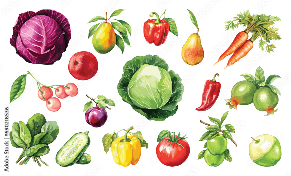 Watercolor painted collection of vegetables and fruits. Hand drawn fresh food design elements isolated on white background.