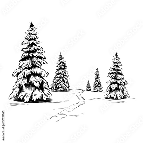 Winter Landscape with Pine Trees photo