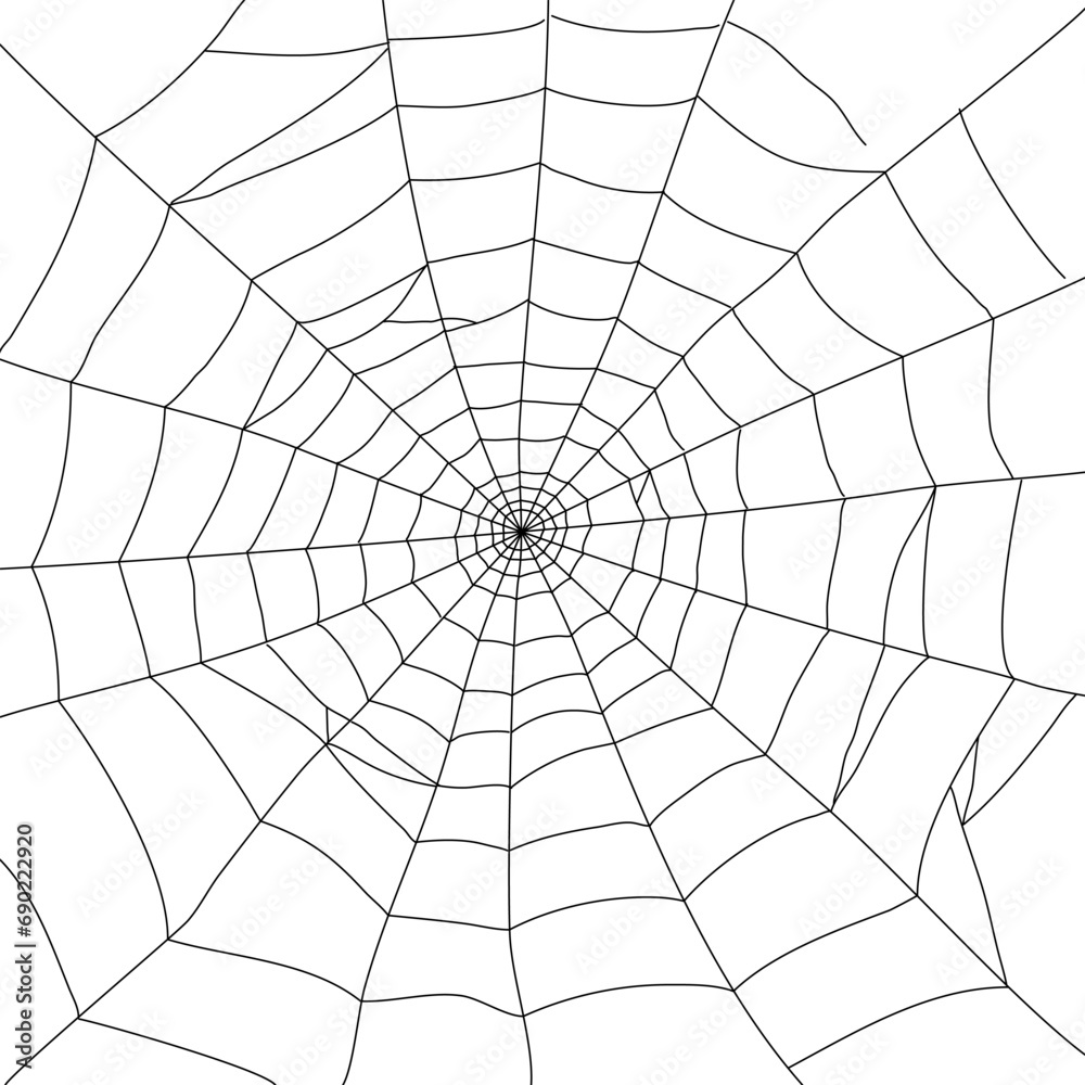 spiderweb element spiderweb element