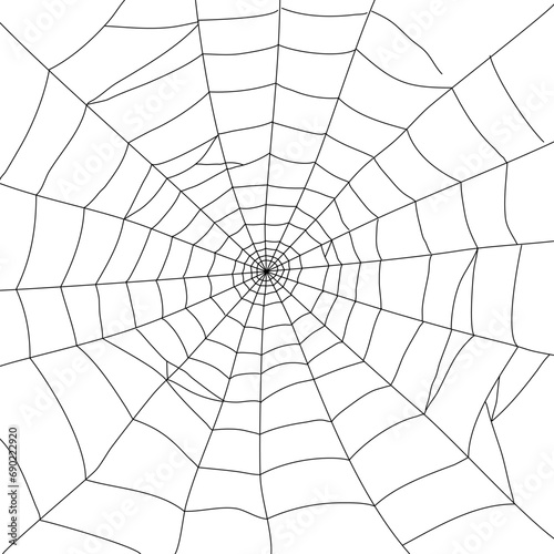 spiderweb element