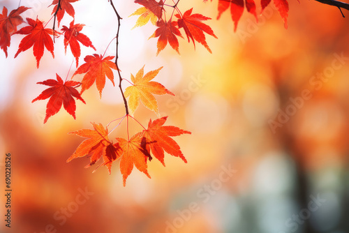 Autumn with a holiday banner featuring a vibrant fall landscape and closeup of colorful maple leaves. Ideal for conveying the beauty of autumn festivities and nature's transition. Space for text.