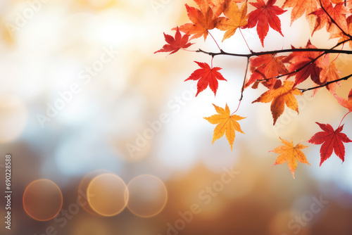 Autumn with a holiday banner featuring a vibrant fall landscape and closeup of colorful maple leaves. Ideal for conveying the beauty of autumn festivities and nature s transition. Space for text.