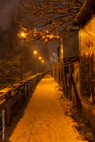Night snowy Nature with Trees around River Vltava  Holesovice  the most cool Prague District  Czech Republic