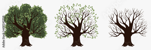 Season tree with and without foliage. Symbol of change of ecology and environmental poisoning with drying green vector plants