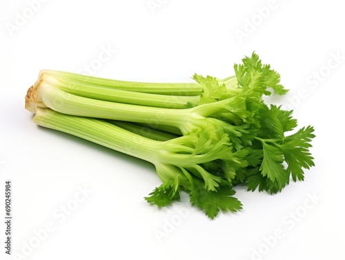 Celery stalks isolated on white background