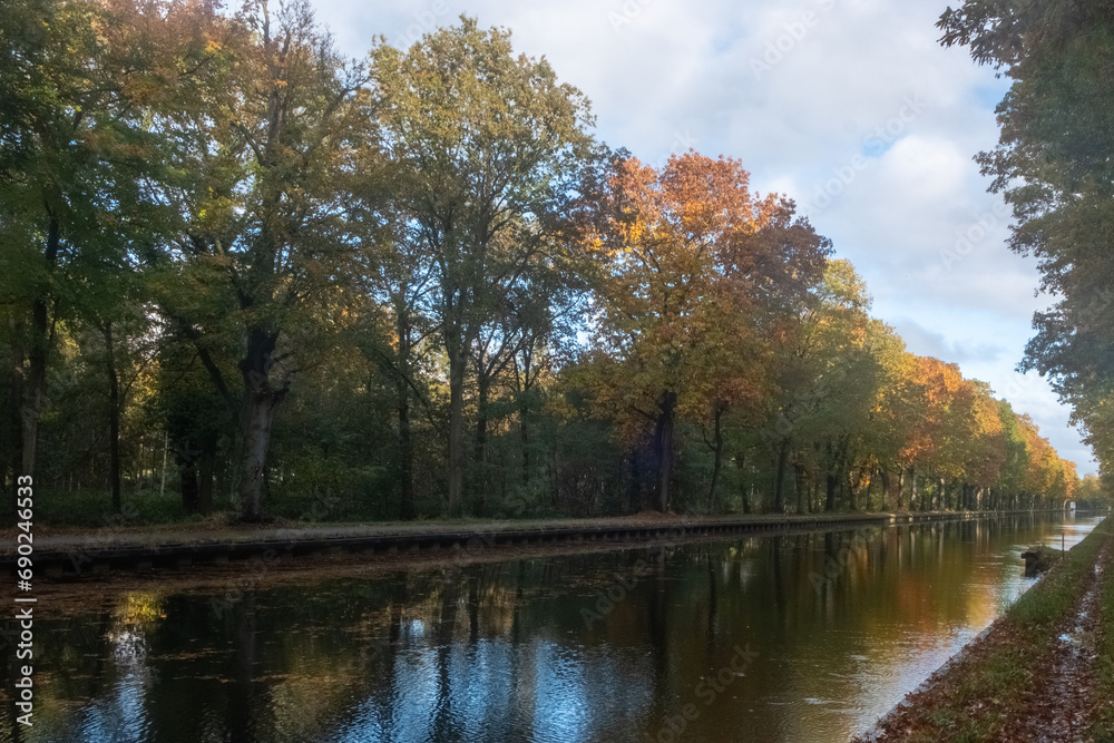 This image captures the tranquil beauty of an autumn scene along a serene canal. Tall trees, exhibiting the warm spectrum of fall foliage, from deep greens to vibrant oranges and subtle yellows, line