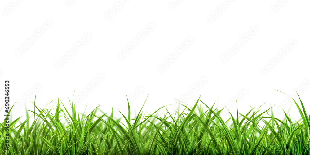 Cut out grass isolated on white background Cut out grass isolated on white background