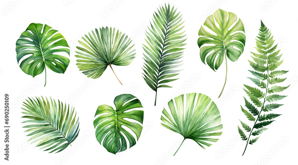tropical plant leaves, palm leaves and monstera on white background,Exotic plants, vector watercolor illustration,Palm Sunday