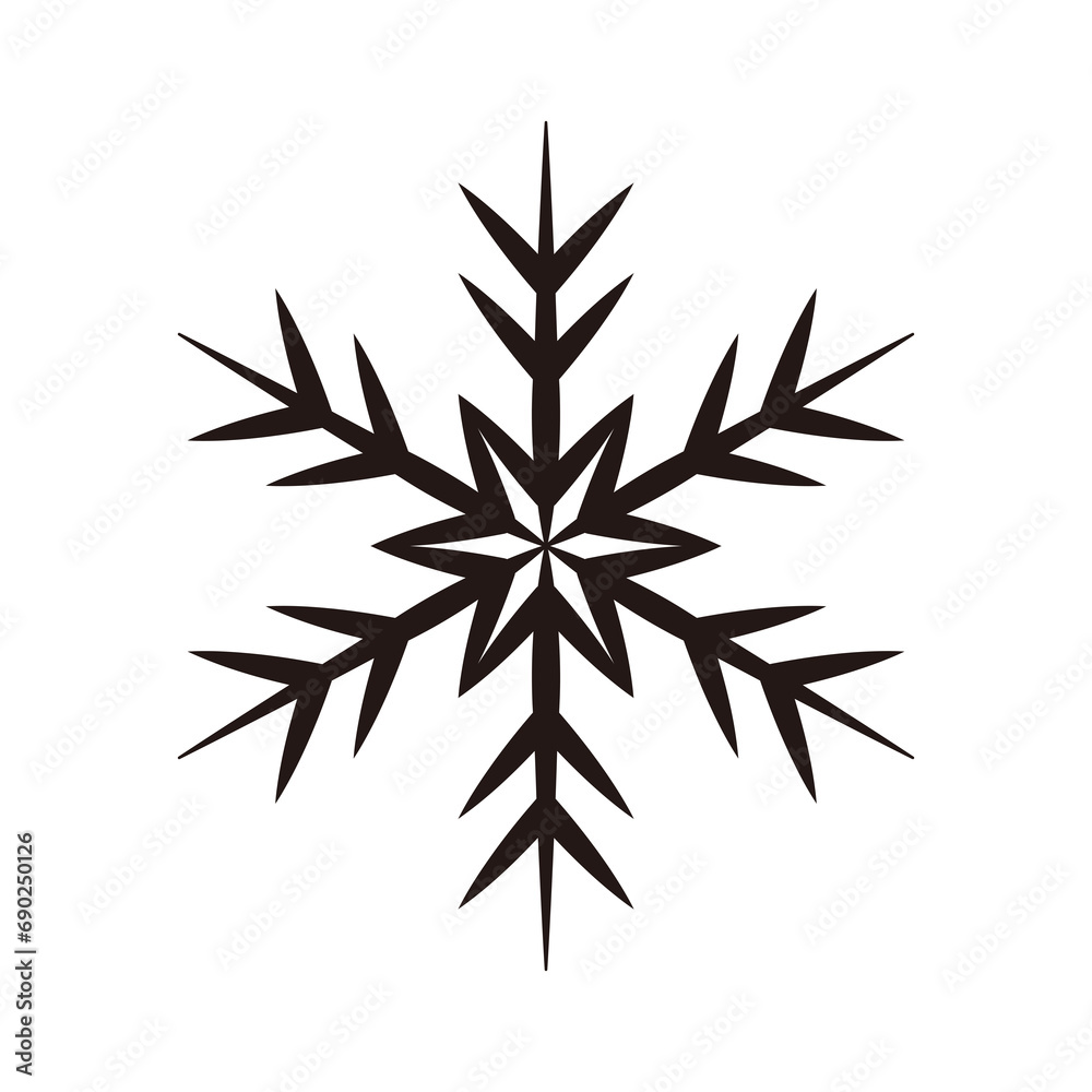 雪の結晶 雪の結晶