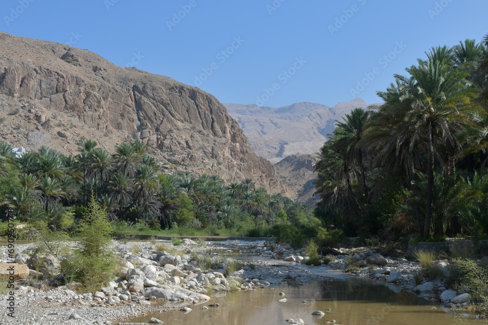 Wadi in Oman: palm trees and river Wadi in Oman: palm trees and river