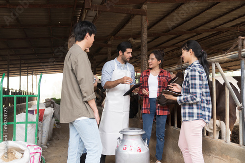 agriculture industry, livestock, animal health and welfare. Dairy farmer male and female working in cowshed on dairy farm. Male and female veterinarian meeting and training in cowshed on dairy farm photo