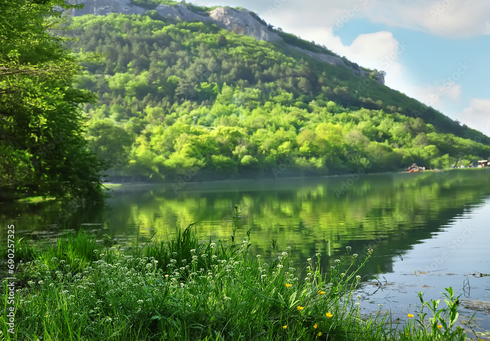 Beautiful view of the lake on a summer day. lush blooming flowers on the lake in the mountains.
Beautiful view of the lake on a summer day. lush blooming flowers on the lake in the mountains.