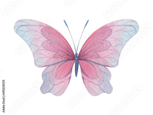 Butterfly are pink, blue, lilac, flying, delicate with wings. Hand drawn watercolor illustration. Isolated element on a white background, for design. © NATASHA-CHU
