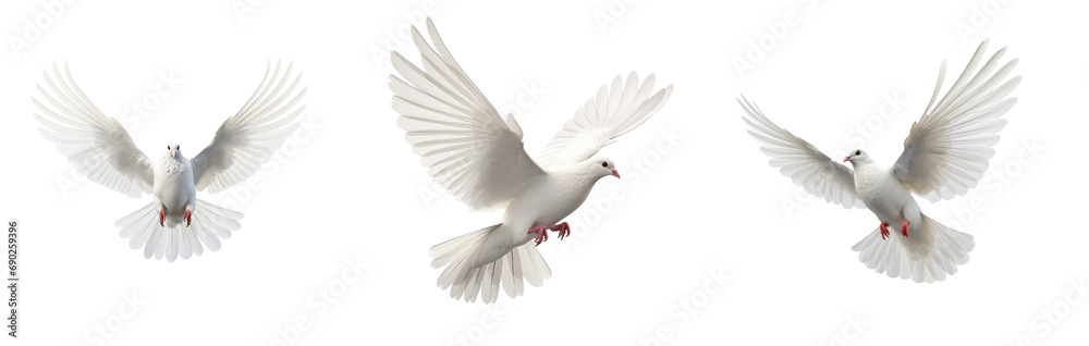 Set of Freedom and peace, this image features an elegant white dove in graceful flight, symbolizing purity and liberty. The bird embodies the beauty of unbridled freedom and celestial serenity. - obrazy, fototapety, plakaty 